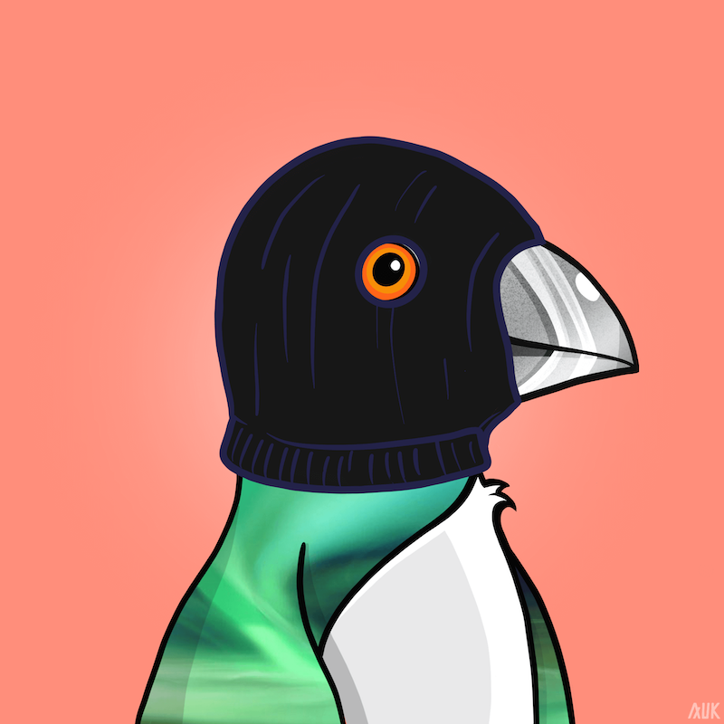 Poppin Puffins #6444